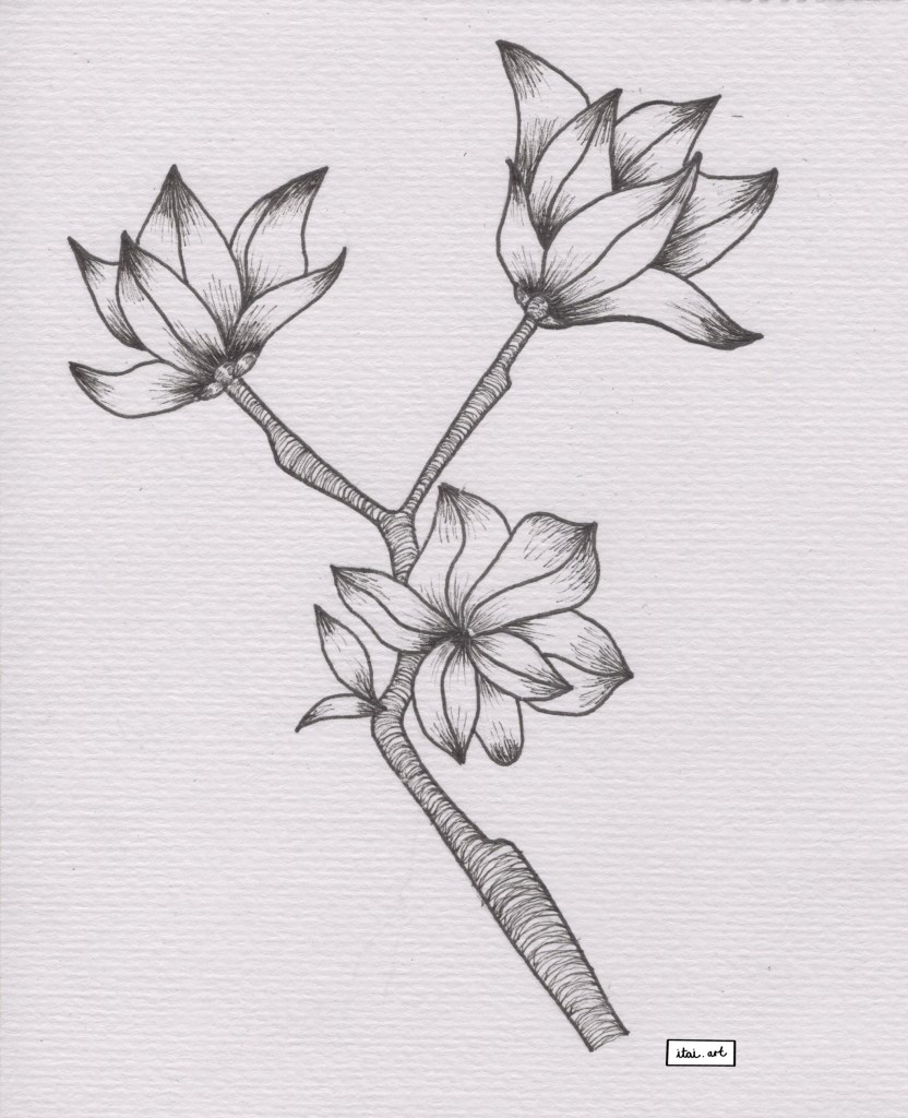 Flowers - Pen mark making